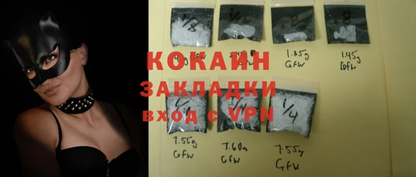 спайс Бородино