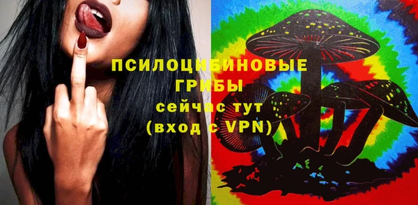 МДПВ Богородск