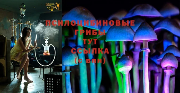 бутират Богданович
