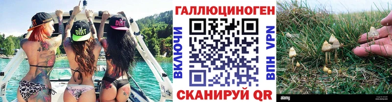 маркетплейс какой сайт  Касли  Псилоцибиновые грибы мухоморы  omg ссылки 